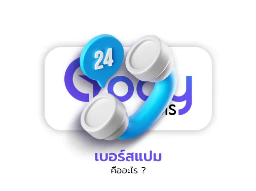 เบอร์สแปม คือ